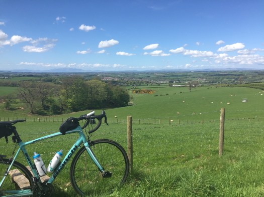 Looking back on Galston